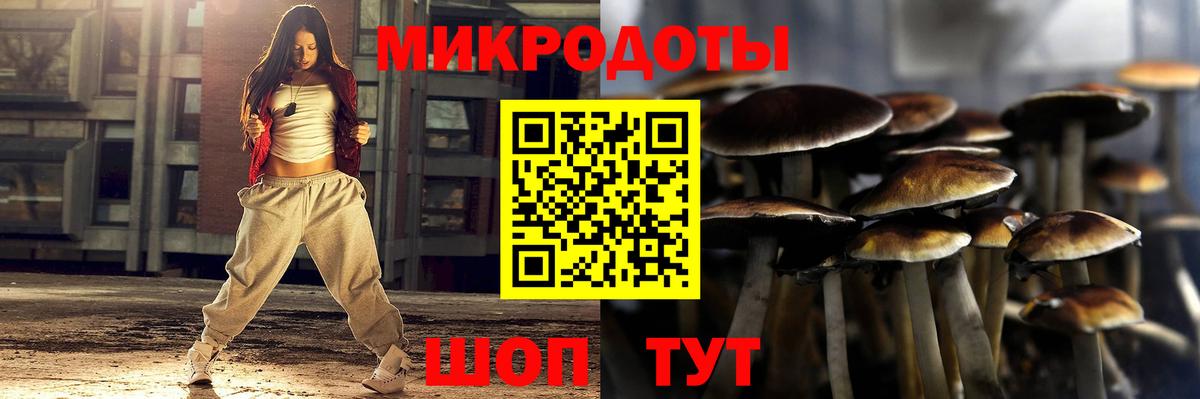 Псилоцибиновые грибы MAGIC MUSHROOMS  Вход с VPN  Бор 